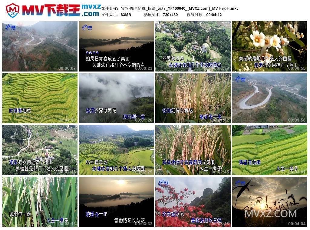 紫萱-飓星情缘_国语_流行_YF100640